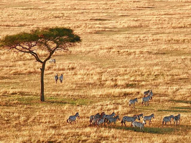 5 Days Safari - Tarangire National Park