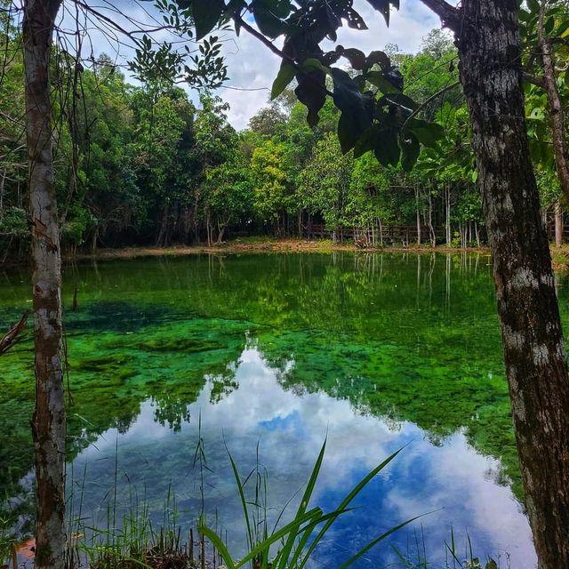 Oasis in nature 