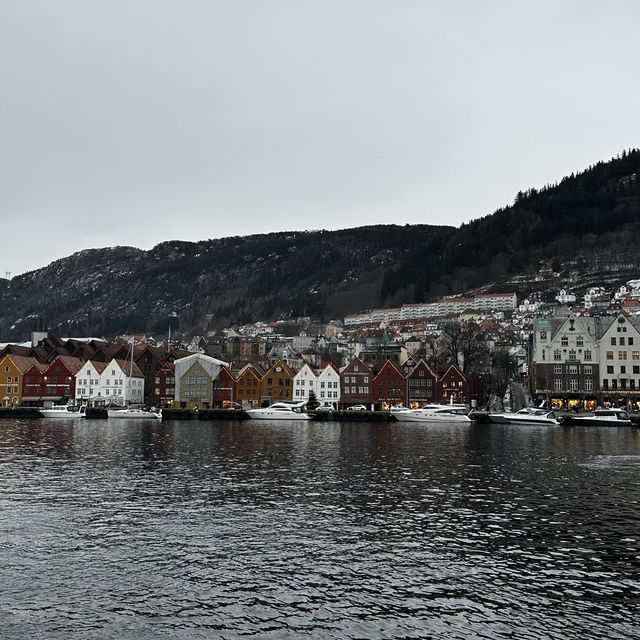Exploring Bergen: Where Fjords Meet Culture i