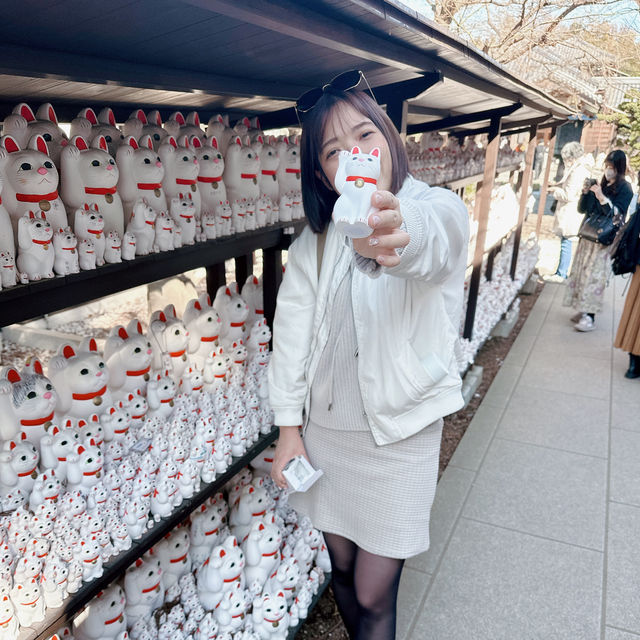 來東京不能錯過得的貓貓神社🐱