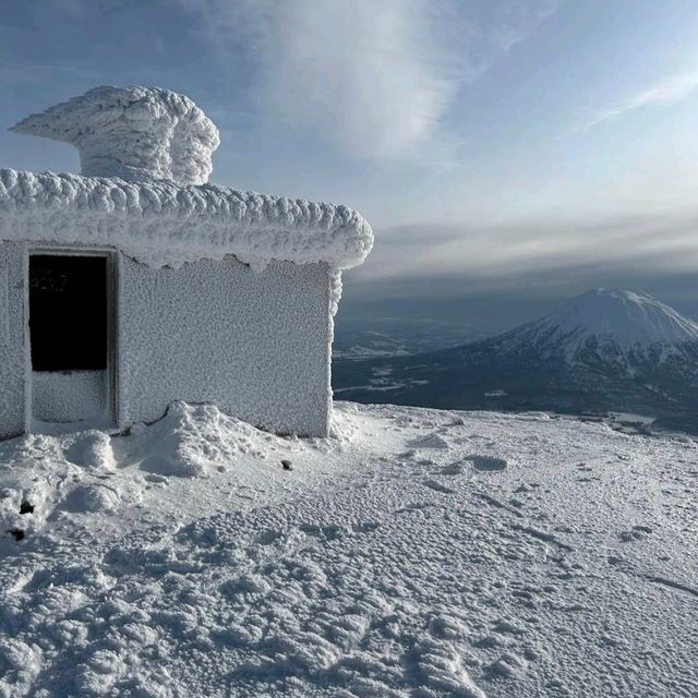 ❄️新雪谷格蘭比羅夫滑雪場❄️新雪谷最大的滑雪場