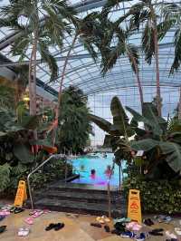수영장 온천 하나로 Therme
