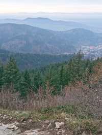 🌿 Exploring the Hills Around Freiburg