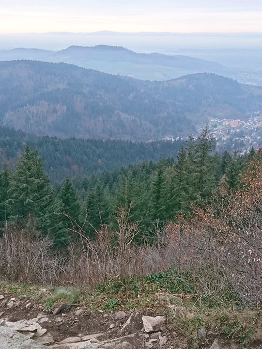 🌿 Exploring the Hills Around Freiburg