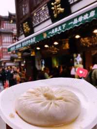 🌆 Shanghai Transit Adventure: The Bund, Yu Garden & Lujiazui