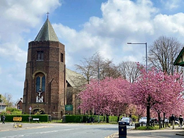 🌸 April Blooms in Preston: A Floral Wonderland 🌸
