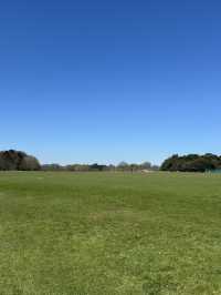 鳳凰公園遊記：漫步都柏林的綠色心臟