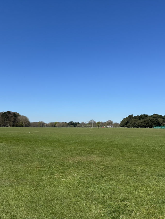 鳳凰公園遊記：漫步都柏林的綠色心臟