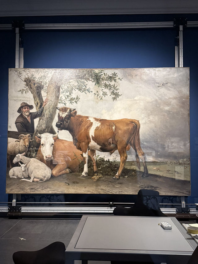 一日遊必去！探訪荷蘭莫瑞泰斯皇家美術館（Mauritshuis）🎨🏛️🌟  