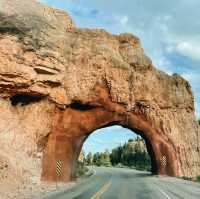 🏞️ Zion National Park: Nature’s Red Rock Playground