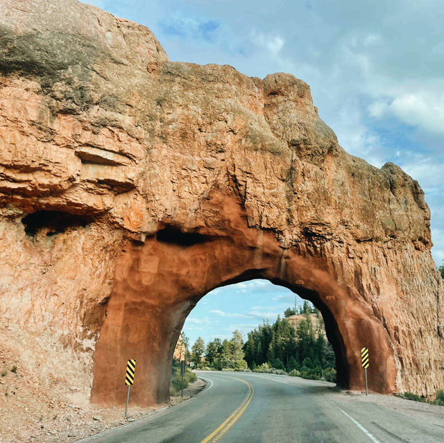 🏞️ Zion National Park: Nature’s Red Rock Playground