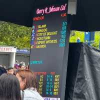 Windsor Horse Racing in Bank Holiday