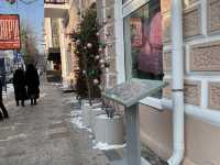 Vladivostok in happy new year