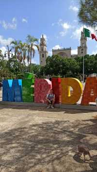 11 Days of Magic – Your Perfect Mexico Itinerary ☀️🌴🌺