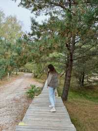 The Curonian Spit is a narrow sandy stretch of land between the Baltic Sea and the Curonian Lagoon