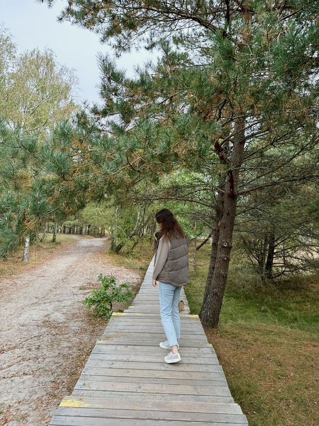 The Curonian Spit is a narrow sandy stretch of land between the Baltic Sea and the Curonian Lagoon