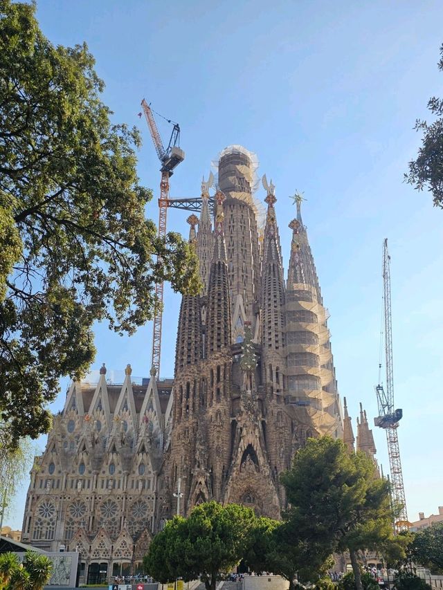 聖家堂：光影大師的建築奇蹟