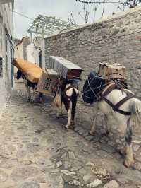 Cats, Donkeys & Crystal Seas: Hydra’s Car-Free Island Charm 🐾🐴🌊