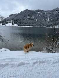 ❄️🏔️ Winter at Haldensee, Tirol – Where the Alps Whisper in Snow 🏔️❄️