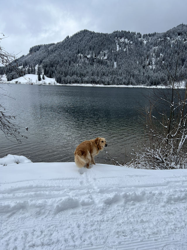 ❄️🏔️ Winter at Haldensee, Tirol – Where the Alps Whisper in Snow 🏔️❄️