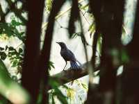 Thung Nham Bird Park: A Hidden Oasis in Tam Coc, Vietnam
