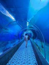 A Fascinating Visit to the Oceanographic Museum in Nha Trang