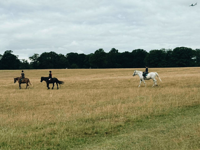 Richmond Park: Royal Nature, Wild Deer & Epic Views