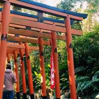 Tokyo Temples: Serenity Amid the City Buzz