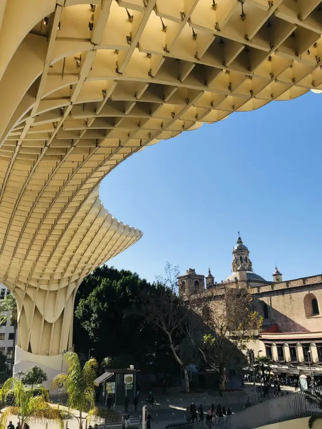 Sky-High Modern Marvels & Timeless Treasures in Seville 