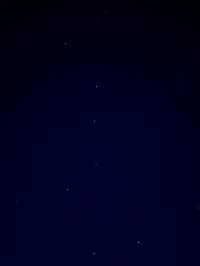 Bayanzurkh, Khuwsgul, Mongolia 🌳