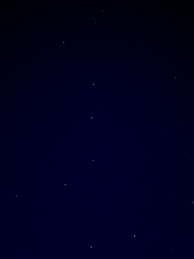 Bayanzurkh, Khuwsgul, Mongolia 🌳