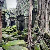 Самостоятельно в поисках сокровищ Ангкора.