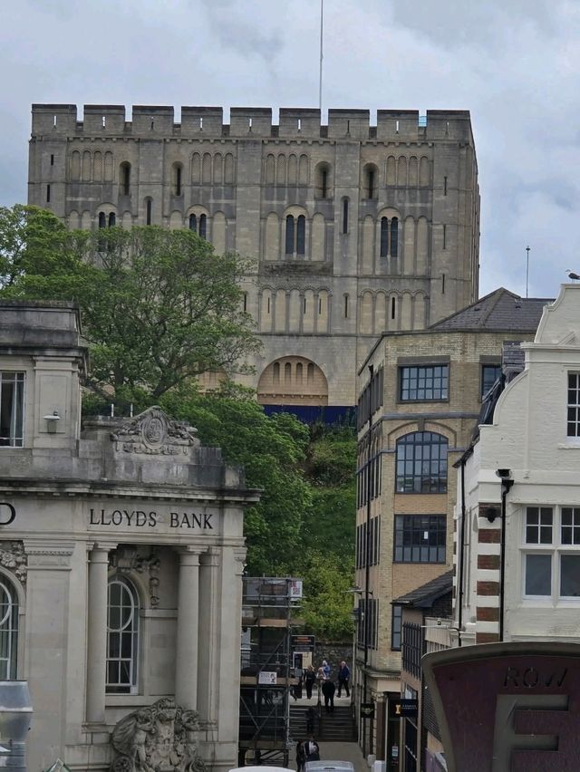 Norwich in a Day✨