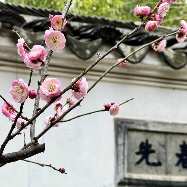 【中国・蘇州】映える写真撮影スポットとして人気の庭園・怡園