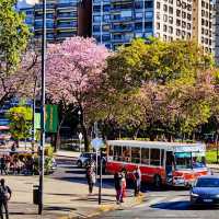 Buenos Aires: A Vibrant City with Heart ❤🌇