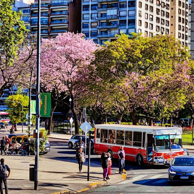 Buenos Aires: A Vibrant City with Heart ❤🌇
