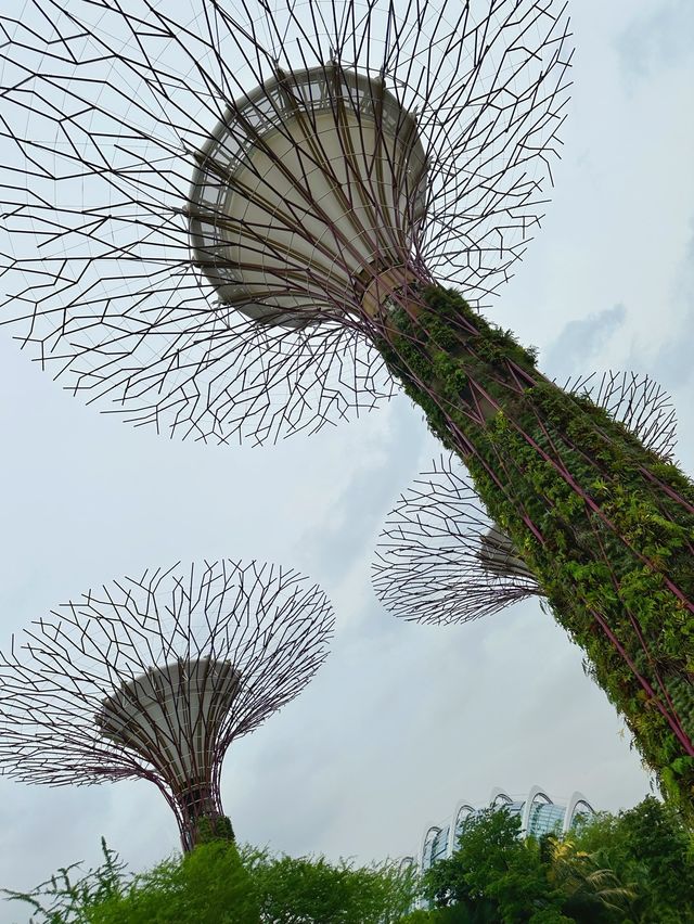 Garden’s by the Bay | Singapore