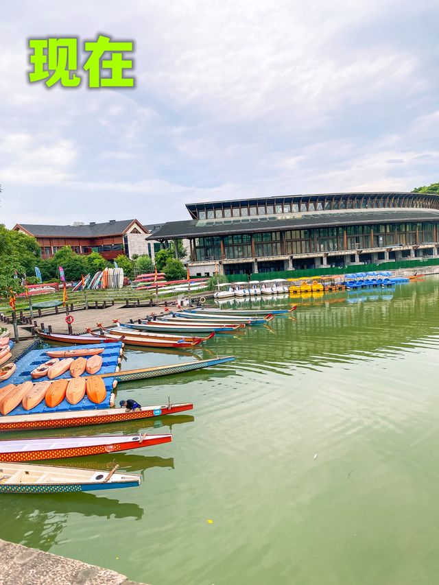 Celebrate the Dragon Boat Festival & Race 🐉