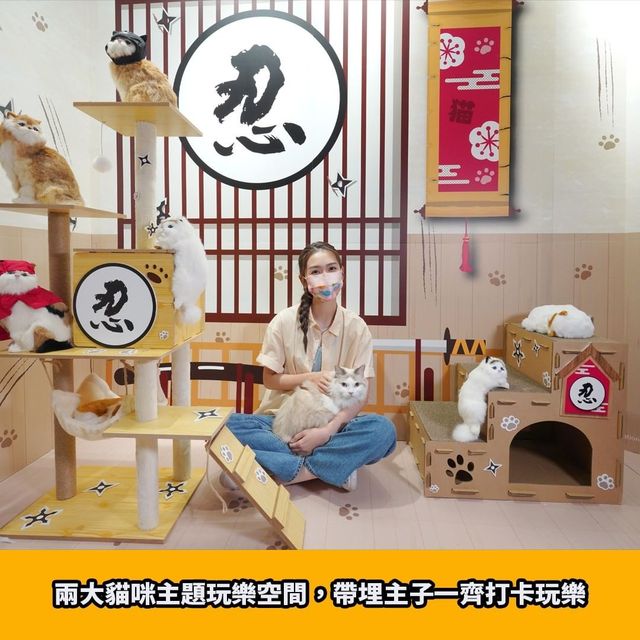貓貓主題NFT藝術館🐈