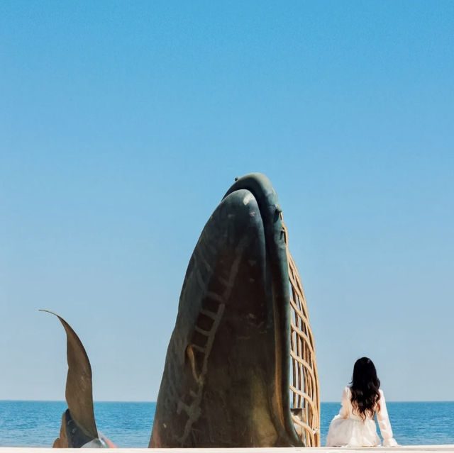 A lonely whale off the coast of Yantai 