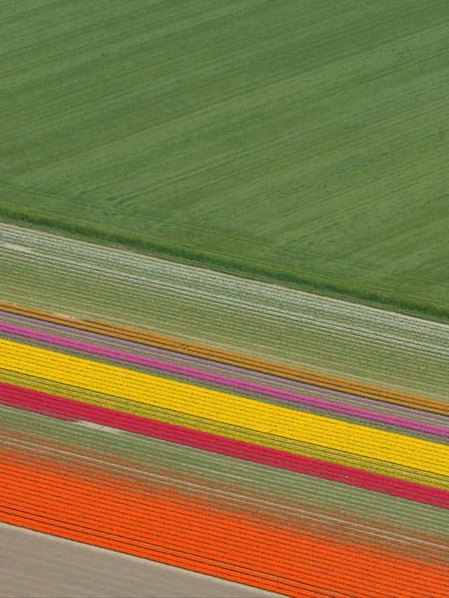 Life always needs a spring reserved for the Netherlands, to see the tulip fields.