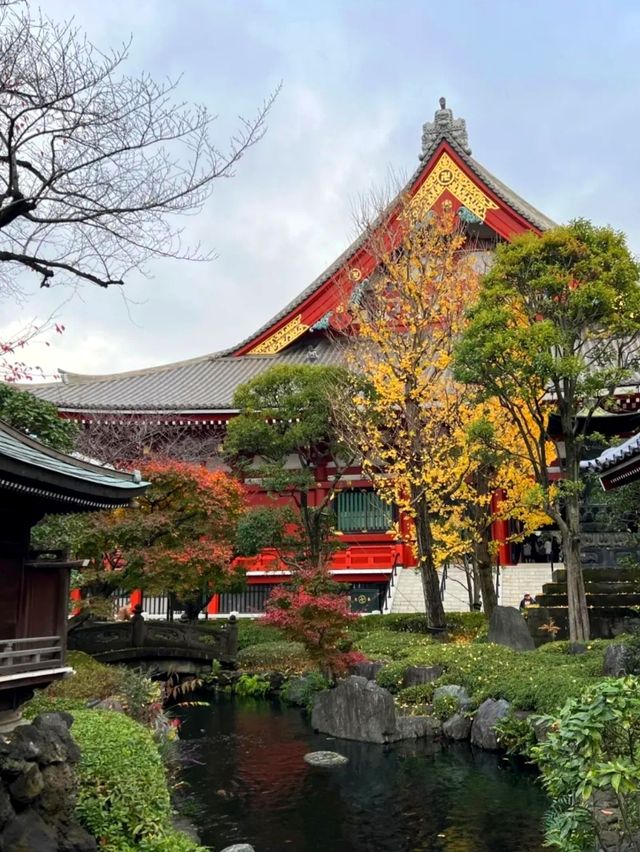Asakusa Temple 🎏 is a must-visit spot for traveling to Japan.