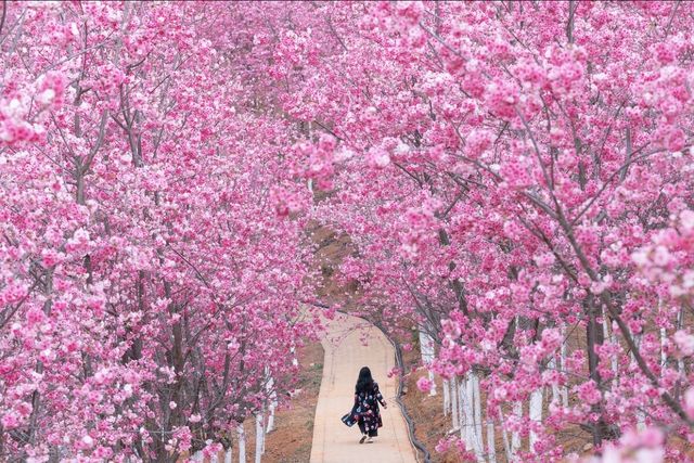 Japan - Fukuoka