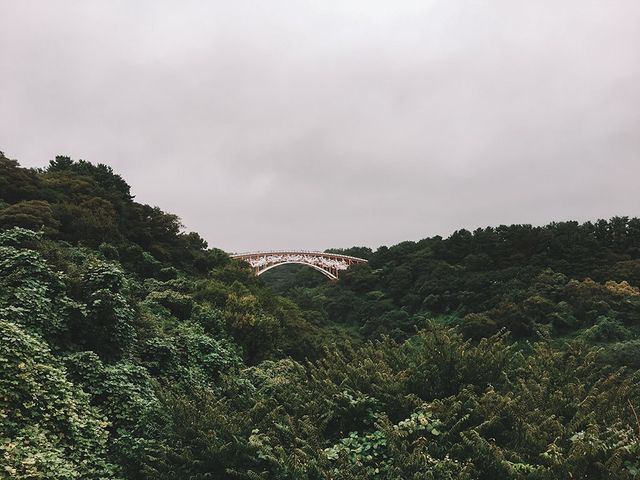 遊濟州🇰🇷天帝淵仙臨橋