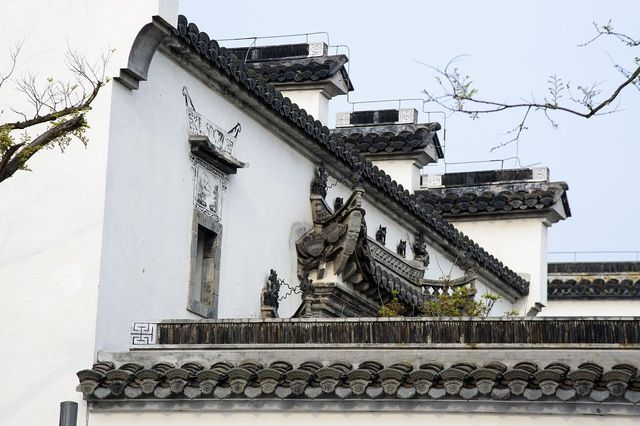 上海金山廊下郊野公園：大自然的寧靜與美景