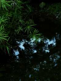 深圳這座免費的小眾公園我不敢告訴太多人，因為實在太好拍了！