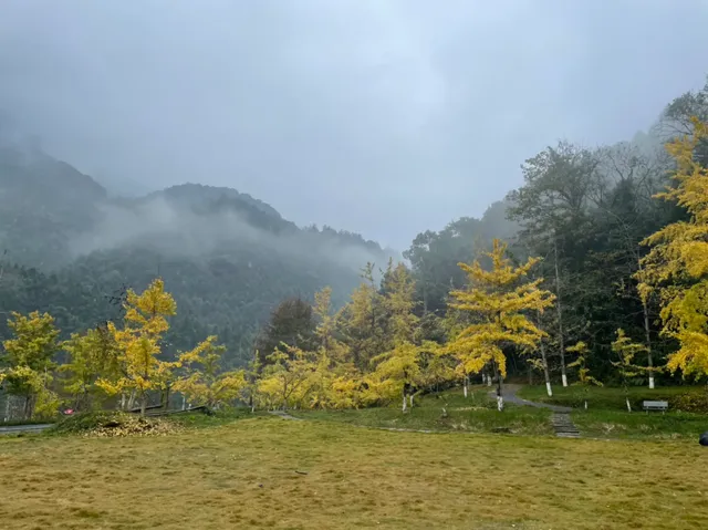 雨中的帽子峰景區