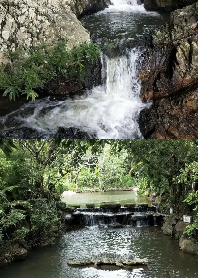 以下はヤノダ熱帯雨林の観光ガイドです