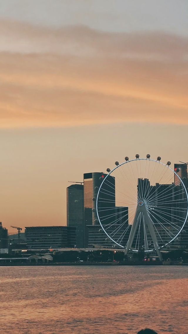 深圳灣紅樹林，大海的懷抱