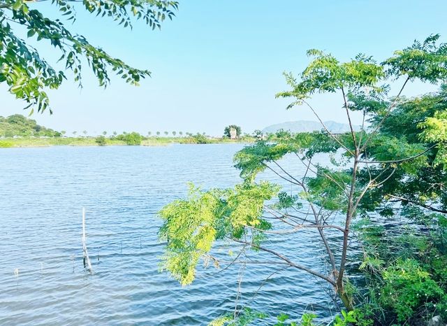 邂逅自然之美——海豐縣大湖鎮濕地公園